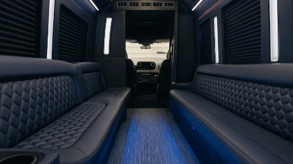 18 passenger party bus interior