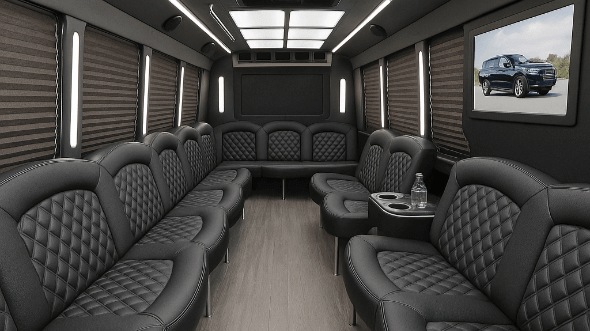 memphis 20 passenger party bus rental