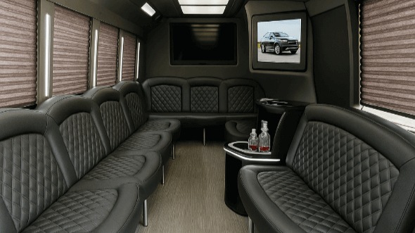 memphis 28 passenger party bus rental